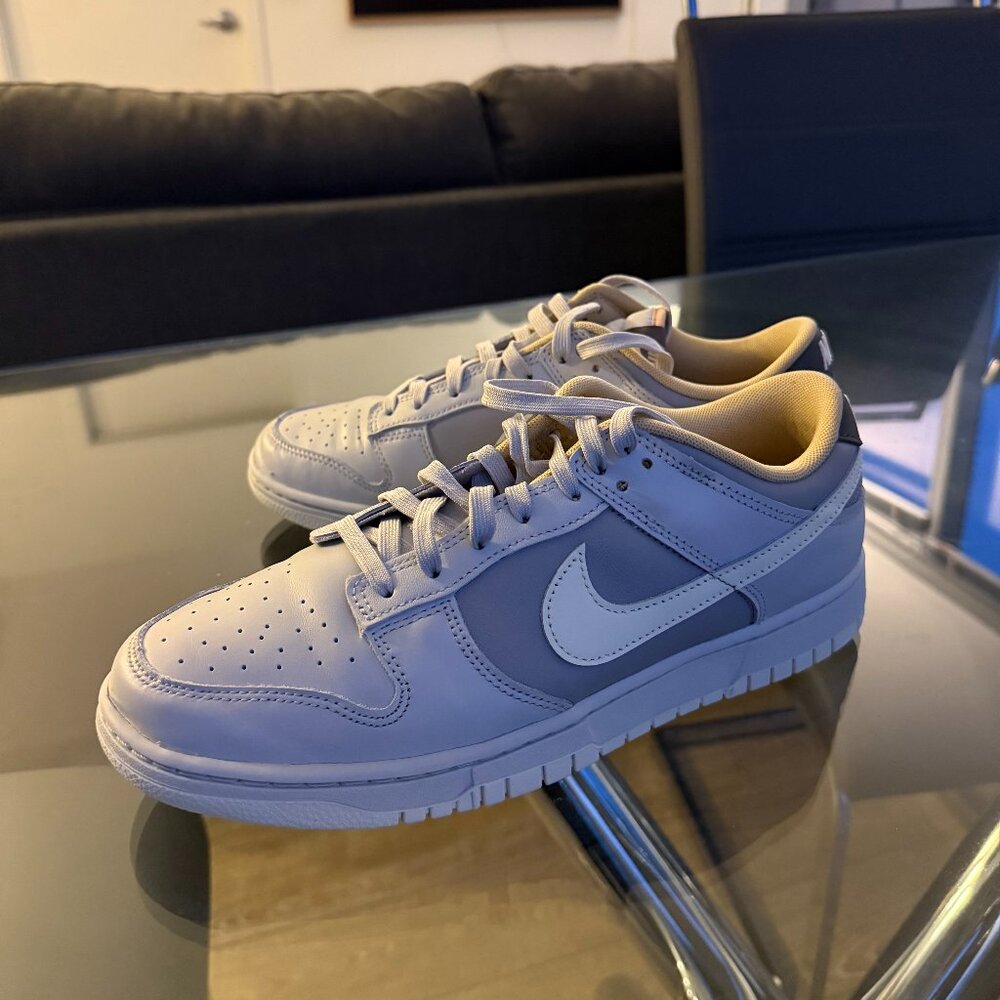 Nike Dunk - Gray and Orange - US M 10